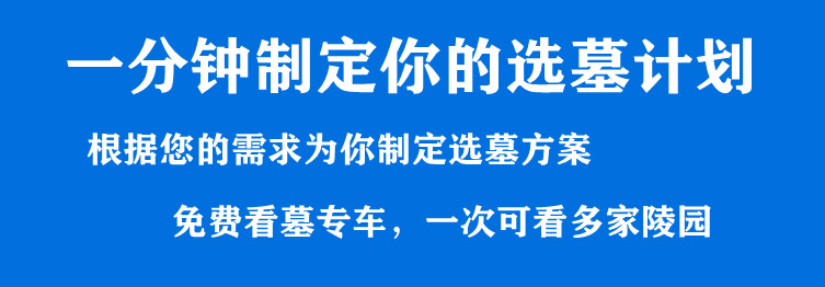 從現代衛星拍攝的地勢圖中能看出什么關于西安市高橋骨灰墓園的信息？