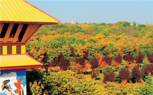 西安草坪葬陵園|寶地|墓地